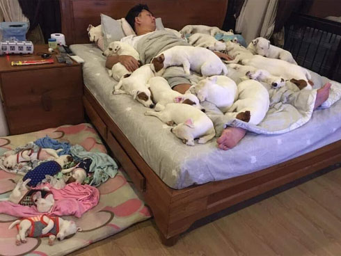 Từ quàng thượng hạ mình xuống vai hầu, chú mèo ngoan ngoãn dùng 2 tay giữ chặt điện thoại cho cậu chủ nằm xem phim-5