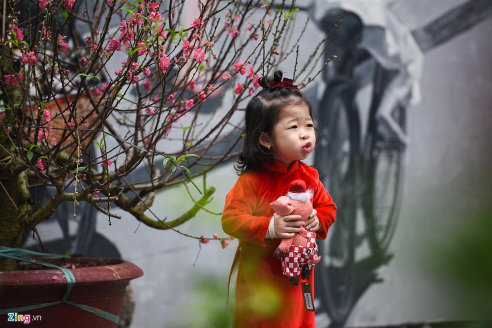 Người Hà Nội sắm Tết trong thời tiết 16 độ C-7