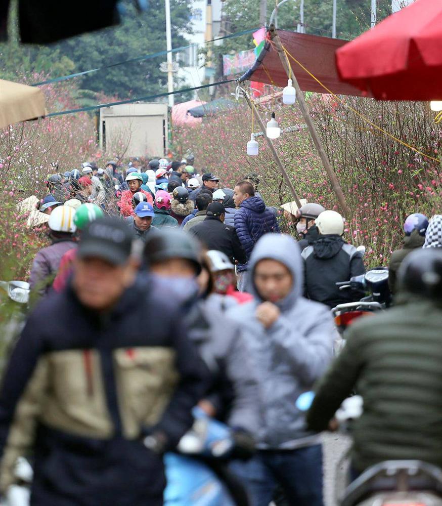 Tuần cuối trước Tết chợ hoa Quảng An đông nghẹt thở, người người đến sắm đào quất-1