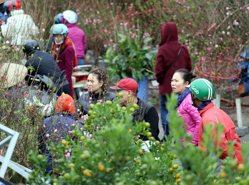 Tuần cuối trước Tết chợ hoa Quảng An đông nghẹt thở, người người đến sắm đào quất-7