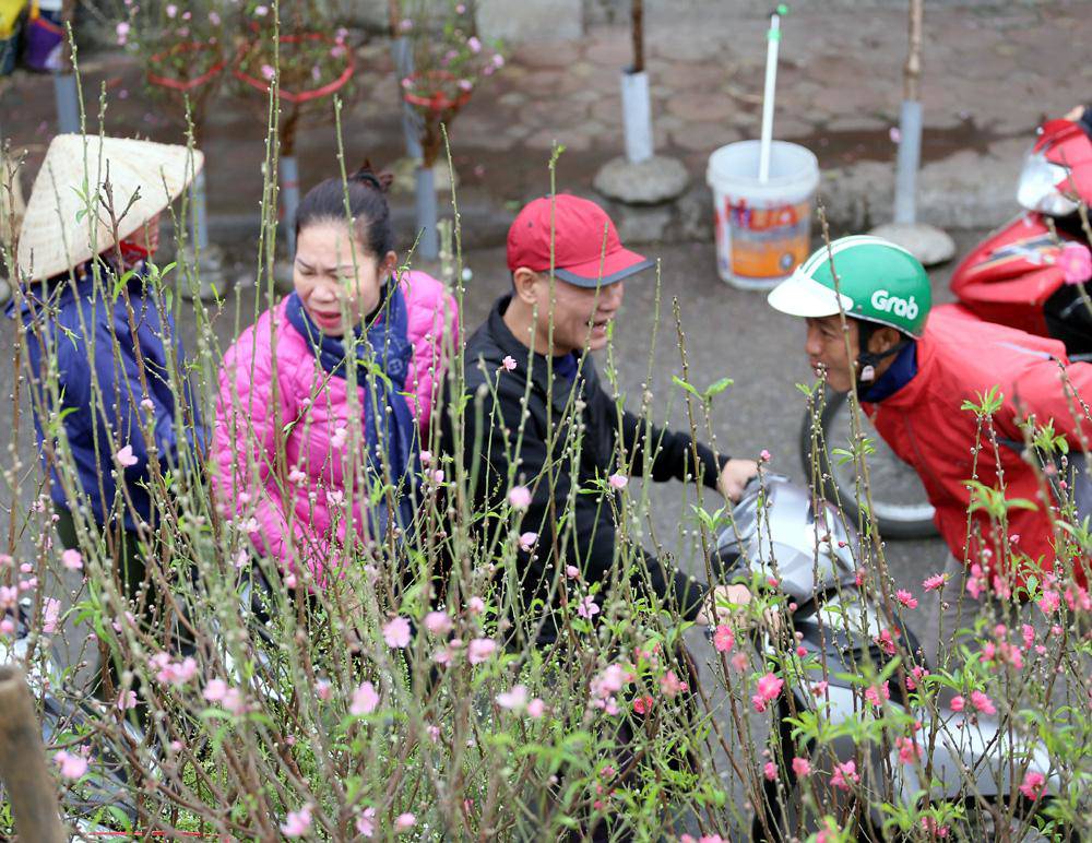 Tuần cuối trước Tết chợ hoa Quảng An đông nghẹt thở, người người đến sắm đào quất-8