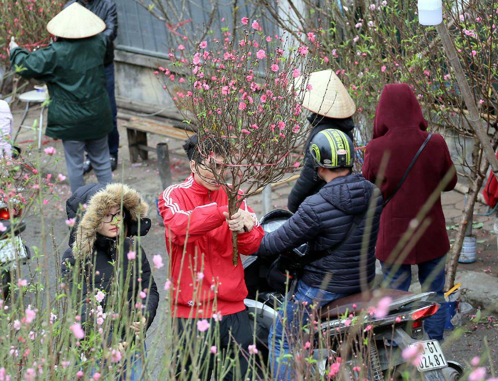 Tuần cuối trước Tết chợ hoa Quảng An đông nghẹt thở, người người đến sắm đào quất-9