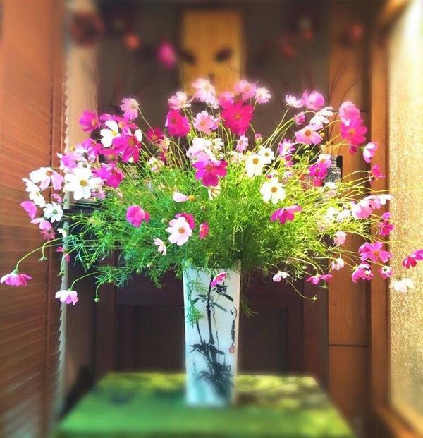 Đổ 1/4 lon nước ngọt vào lọ hoa, chơi 10 ngày hoa không thối, không hỏng-3