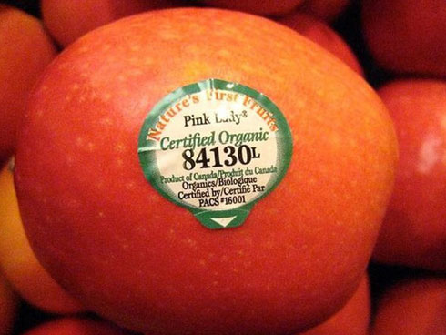 Ngày thu 200 triệu, chủ sạp hoa quả tiết lộ bất ngờ ngày cận Tết-2