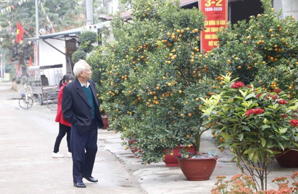 Người dân Đồng Tâm trưng đào, quất hối hả chuẩn bị đón Tết-3