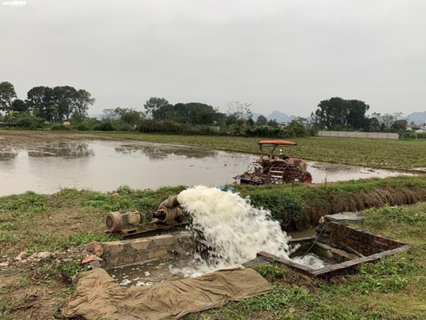 Người dân Đồng Tâm trưng đào, quất hối hả chuẩn bị đón Tết-8