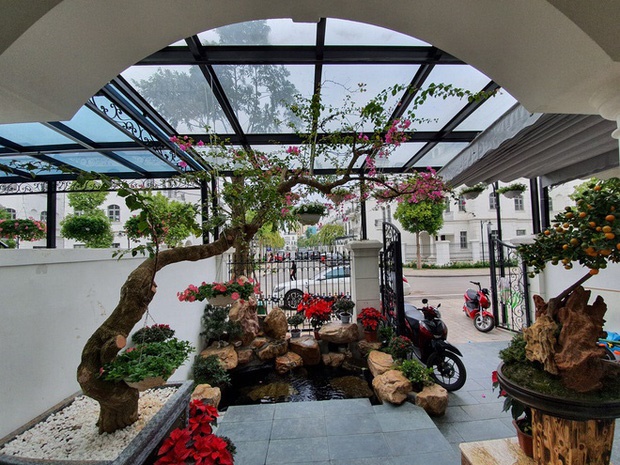 Tăng Thanh Hà khoe mai vàng khắp biệt thự triệu đô, Tuấn Hưng và dàn sao Vbiz hối hả trang trí nhà cửa đón Tết Nguyên đán-4