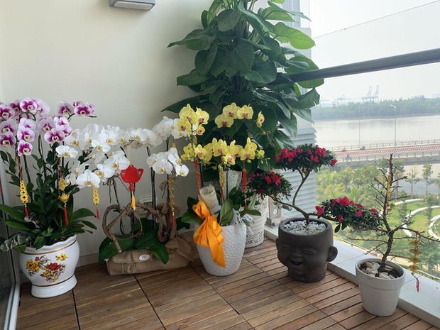 Tăng Thanh Hà khoe mai vàng khắp biệt thự triệu đô, Tuấn Hưng và dàn sao Vbiz hối hả trang trí nhà cửa đón Tết Nguyên đán-8