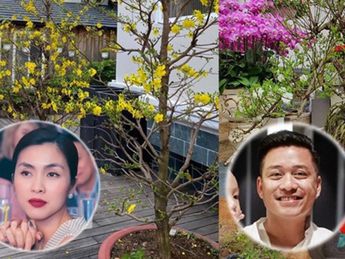 Ngọc Sơn sửa biệt thự trăm tỷ, phòng giúp việc đạt tiêu chuẩn 2 sao-25