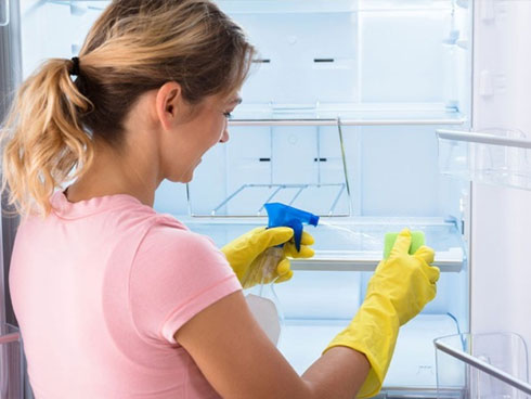 Đặt 1 đồng xu vào tủ lạnh, Tết ra cả nhà tròn mắt xem điều lạ-4