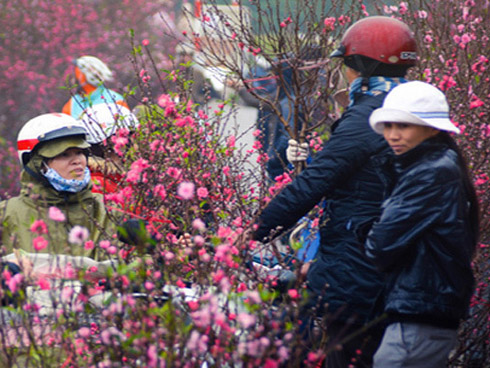 Chính thức kết thúc đợt rét đậm trên diện rộng, thời tiết ấm dần lên từ hôm nay đến 30 Tết-2