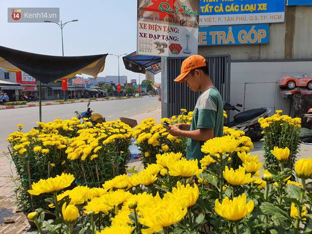 Chồng đột quỵ rồi mất trong lúc bán hoa Tết ở Sài Gòn, vợ cùng các con vội về đưa tang với hơn 2 tấn dưa còn nằm lại vỉa hè-6