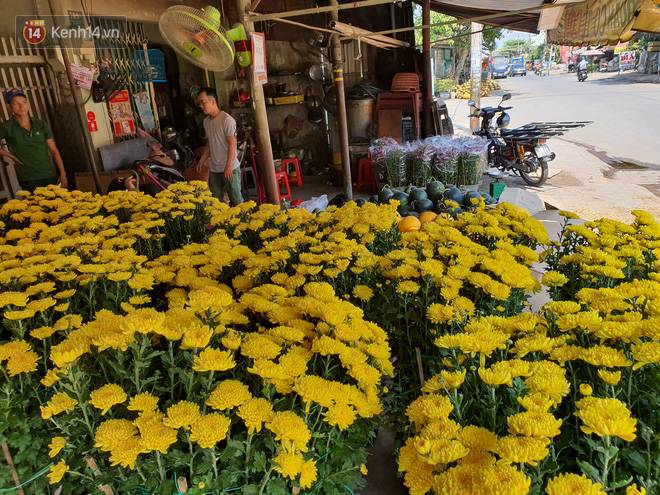 Chồng đột quỵ rồi mất trong lúc bán hoa Tết ở Sài Gòn, vợ cùng các con vội về đưa tang với hơn 2 tấn dưa còn nằm lại vỉa hè-7