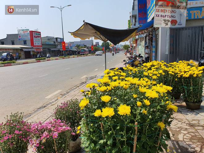 Chồng đột quỵ rồi mất trong lúc bán hoa Tết ở Sài Gòn, vợ cùng các con vội về đưa tang với hơn 2 tấn dưa còn nằm lại vỉa hè-10