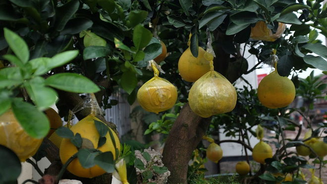 1,5 triệu đồng/thỏi vàng nổi chữ thư pháp Tài - Lộc” vừa chơi, vừa ăn Tết-4