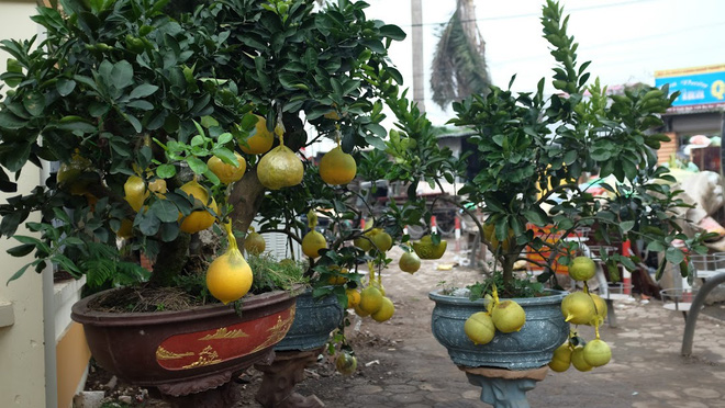 1,5 triệu đồng/thỏi vàng nổi chữ thư pháp Tài - Lộc” vừa chơi, vừa ăn Tết-5