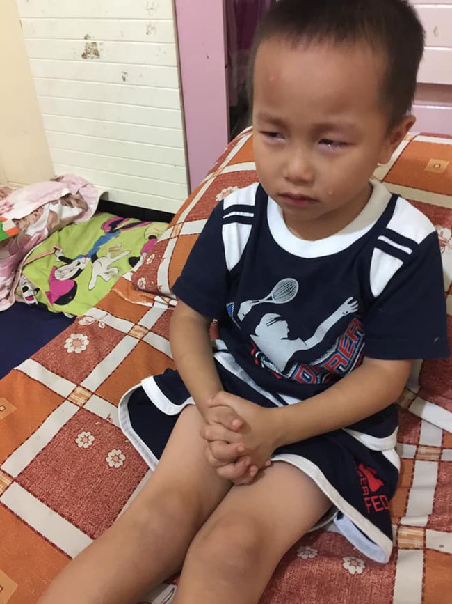 Cậu bé mầm non nức nở xin bà cho nuôi 3 chú mèo nhặt từ thùng rác, nhưng câu chuyện cuộc đời càng khiến ai nấy nghẹn ngào-4