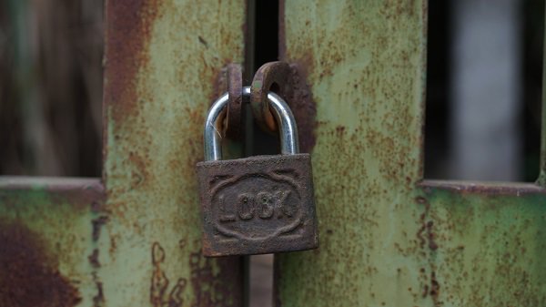 Năm Canh Tý, về nơi cúng thịt chuột trong đêm giao thừa: Chúng tôi không thờ thần chuột”-6