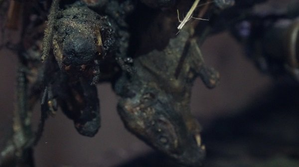 Năm Canh Tý, về nơi cúng thịt chuột trong đêm giao thừa: Chúng tôi không thờ thần chuột”-10