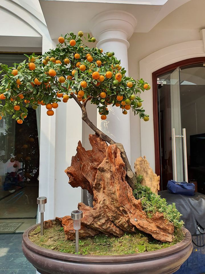 Bận trăm công nghìn việc Tuấn Hưng vẫn cùng gia đình gói bánh chưng, lý do mới đúng chuẩn ông bố quốc dân-4