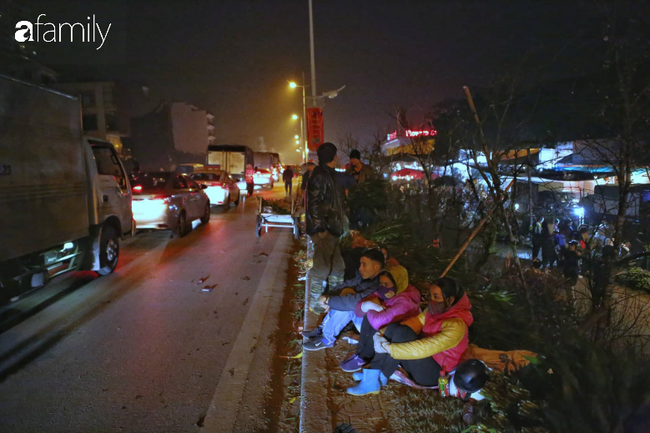 Rạng sáng 28 Tết: Chợ hoa Quảng An đông nghẹt thở, người dân cùng thương lái tất bật thâu đêm-1