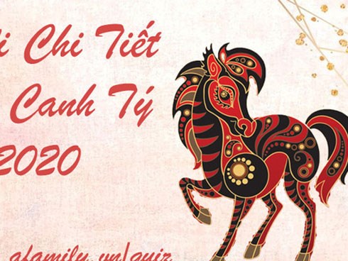 Tử vi chi tiết năm Canh Tý: Tuổi Ngọ bứt phá mọi khó khăn ngoạn mục, thu về nhiều tài lộc lẫn công danh