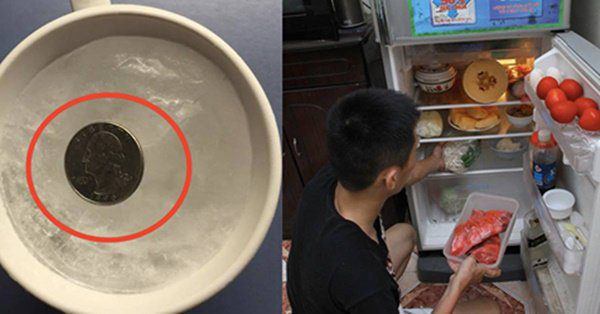 Đặt 1 đồng xu vào tủ lạnh, Tết ra cả nhà tròn mắt xem điều lạ-1