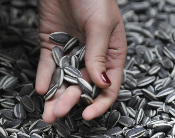 Nôn ra 700ml máu sau khi ăn hạt hướng dương, đừng dại mắc phải sai lầm này-3