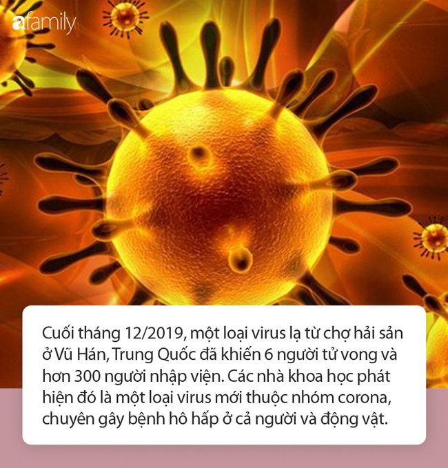 Điều quan trọng ai cũng phải biết về virus corona mới đang hoành hành: Tết này người dân có cần phải lo lắng?-1