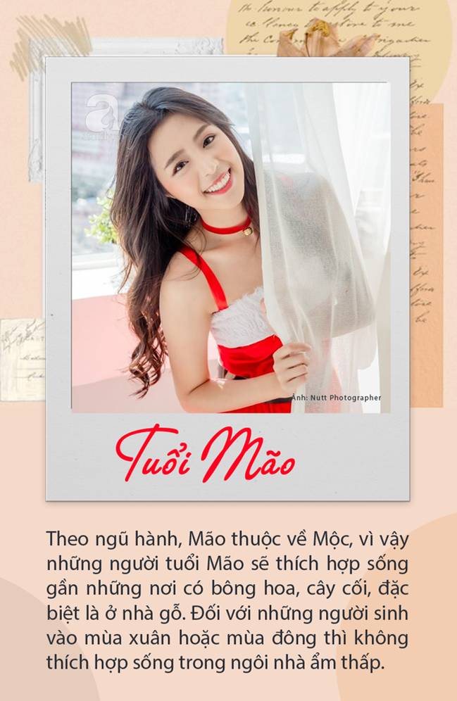 12 con giáp phải ở trong ngôi nhà như thế nào để có được cuộc sống viên mãn sung túc, tài vận dồi dào mỹ mãn-4