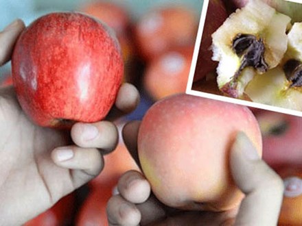 Mẹo hay giúp bảo quản trái cây mâm ngũ quả tươi lâu gấp 2, không cần dùng tủ lạnh