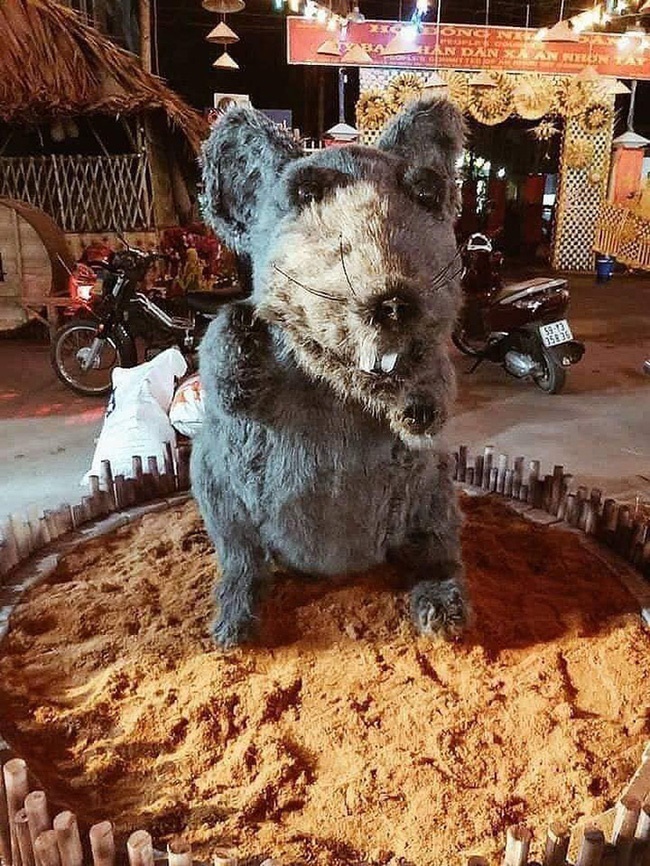 Linh vật chú chuột Canh Tý khiến nhiều người rùng mình sợ hãi ở Củ Chi đã chính thức được... make-up lại-2