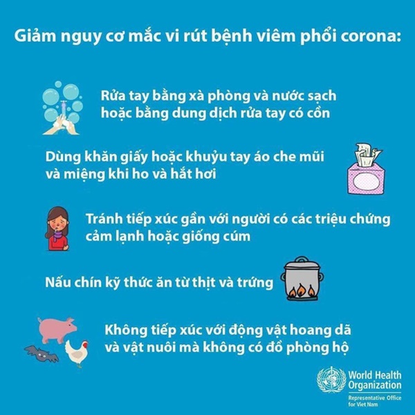 2 bố con người Trung Quốc nhiễm virus corona đã đi qua bao nhiêu tỉnh thành ở Việt Nam?-4