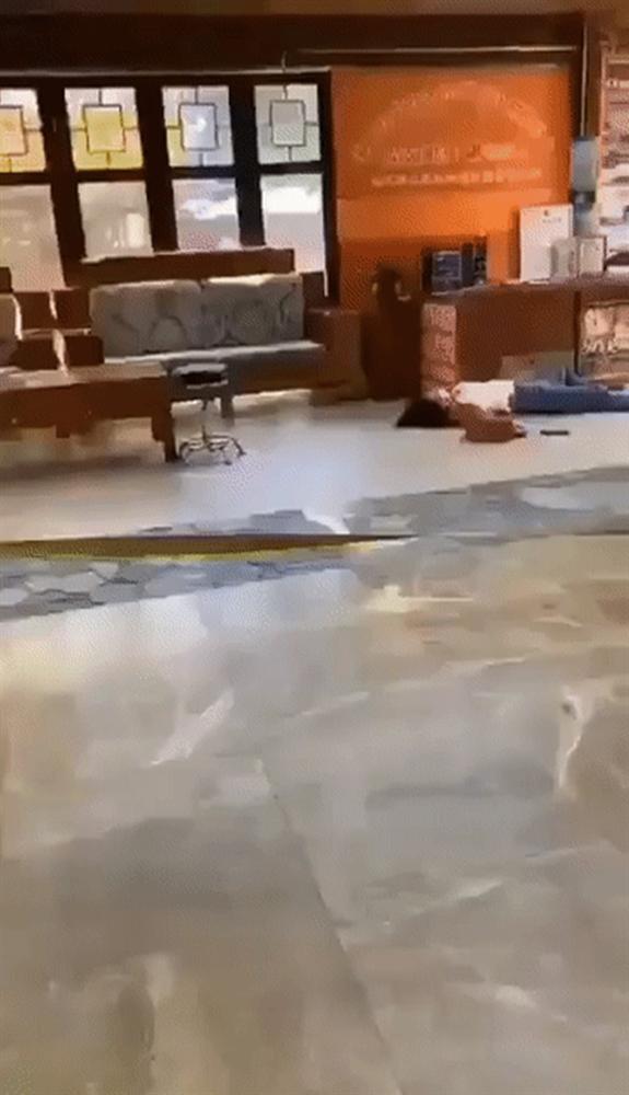 Cảnh người dân trong tâm dịch viêm phổi Vũ Hán đột ngột ngã xuống đất và nôn ra máu hệt như phim zombie gây bão cộng đồng mạng-4