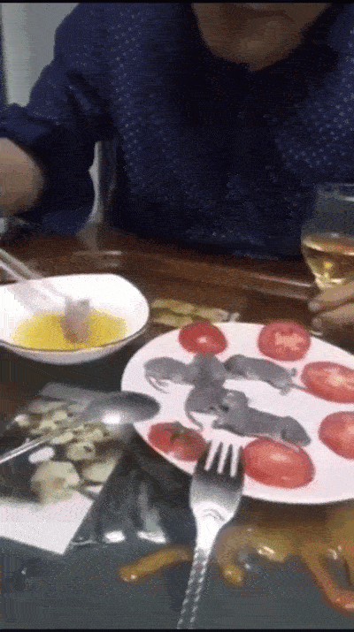 Hết súp dơi, dân mạng truyền tay đoạn clip ám ảnh cảnh thực khách thưởng thức động vật kì dị, được cho là nguyên nhân gây ra viêm phổi Vũ Hán-2