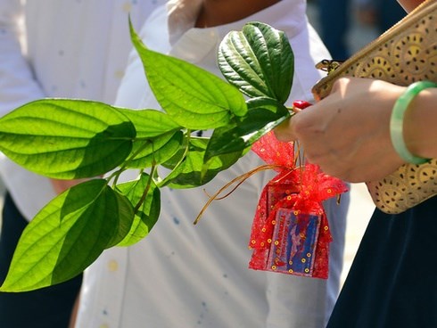 Hái lộc đầu năm sao cho đúng để có nhiều tài lộc, may mắn, đừng quá tham “lộc” kẻo thành kẻ phá hoại dịp Tết!