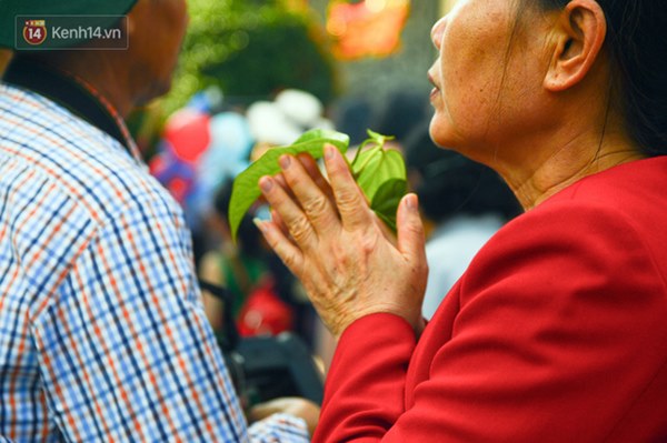 Hái lộc đầu năm sao cho đúng để có nhiều tài lộc, may mắn, đừng quá tham lộc” kẻo thành kẻ phá hoại dịp Tết!-2