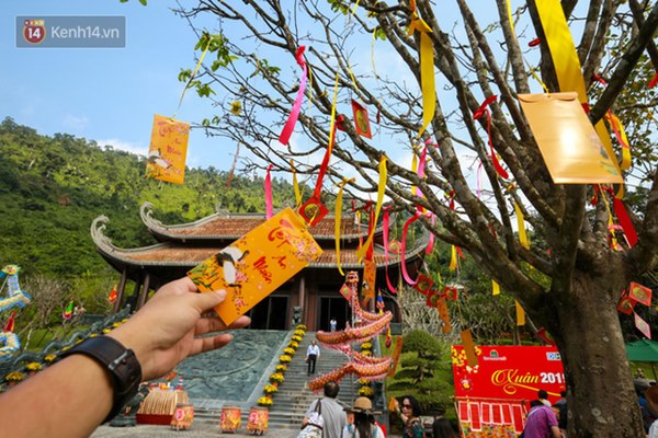 Hái lộc đầu năm sao cho đúng để có nhiều tài lộc, may mắn, đừng quá tham lộc” kẻo thành kẻ phá hoại dịp Tết!-3