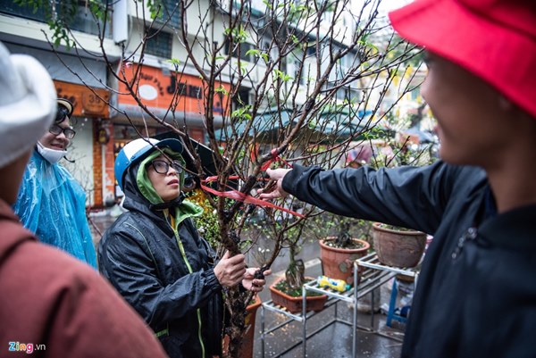 Người Hà Nội đội mưa mua đào, quất rớt giá chiều 30 Tết-4
