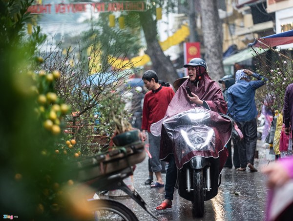 Người Hà Nội đội mưa mua đào, quất rớt giá chiều 30 Tết-6