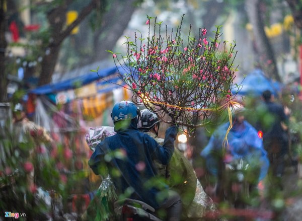 Người Hà Nội đội mưa mua đào, quất rớt giá chiều 30 Tết-11