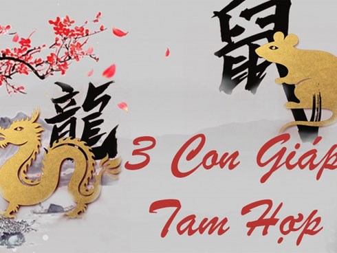 3 con giáp tam hợp với năm Canh Tý 2020, 10 người thì 9 người có cuộc sống thành công vang dội, ăn nên làm ra, tiền tiêu không hết