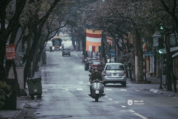 Hà Nội sáng mùng 1 Tết Canh Tý: Sau trận mưa lớn đêm 30, đường phố vắng vẻ như trong cuốn phim cũ nhuốm màu thời gian-4