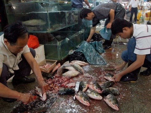 Bên trong khu chợ bùng phát virus corona tại Vũ Hán