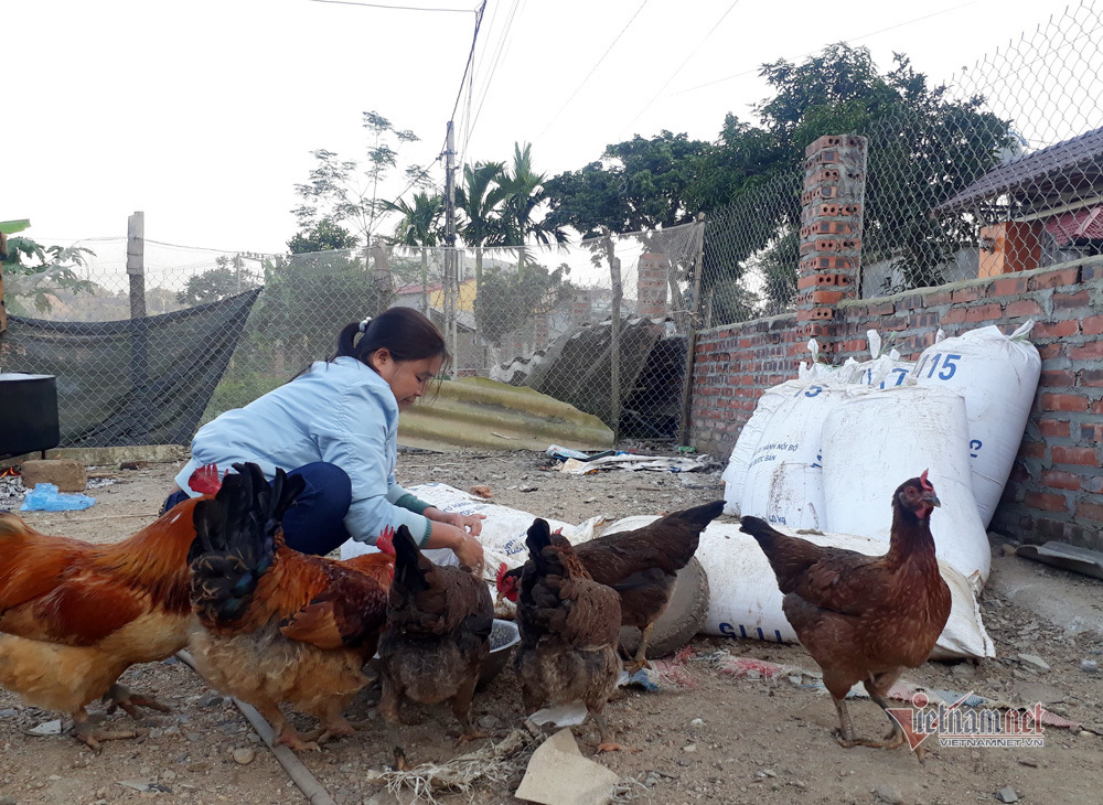 Tết vui nhất ở gia đình cầu thủ Hà Đức Chinh-2