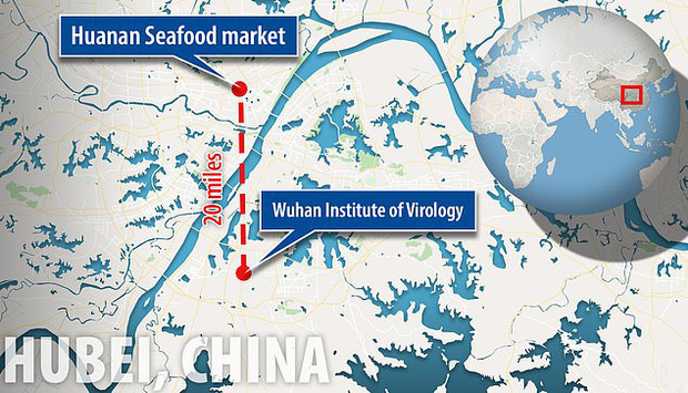 Virus Vũ Hán bị nghi là sản phẩm của phòng thí nghiệm, có liên quan đến chương trình chiến tranh sinh học của Trung Quốc-1
