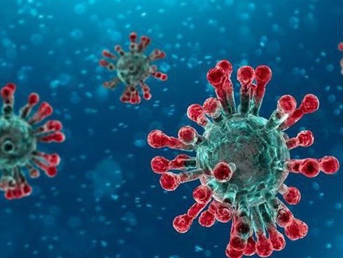 Không chỉ có dơi mới là nguồn gốc lây nhiễm coronavirus, ăn những loài động vật này cũng sẽ khiến nguy cơ lây nhiễm virus chết người tăng lên gấp bội