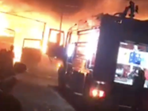 Chuyện cô nàng được bố mẹ sắm riêng cho cây quất trong phòng để ăn Tết một mình: Hóa ra Tết của gái ế khó khăn quá!-4