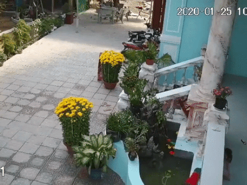 CLIP: Em trai ngã xuống bể cá, chị gái tưởng em bơi, chạy vào báo mẹ, diễn biến sau đó khiến tất cả hoảng sợ