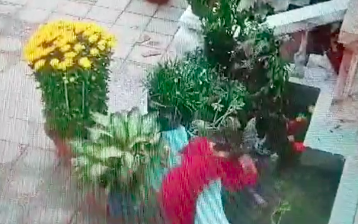 Để hai chị em chơi với nhau gần hòn non bộ, phụ huynh suýt nữa ân hận không kịp khi bé trai bất ngờ rơi xuống bể nước-2